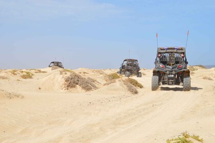 Santa Maria: Ørkeneventyr på en 500cc eller 1000cc Buggy