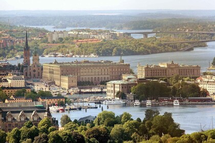 Stockholm Tur Sejarah Pribadi dengan Pakar Lokal