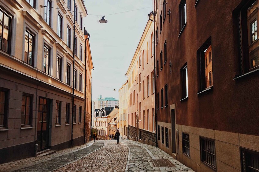 Picture 3 for Activity Stockholm: Private History Tour with a Local Expert