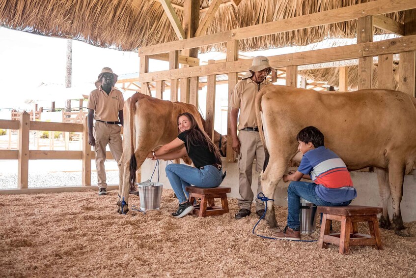 Picture 4 for Activity Punta Cana: Eco Park Safari Adventure