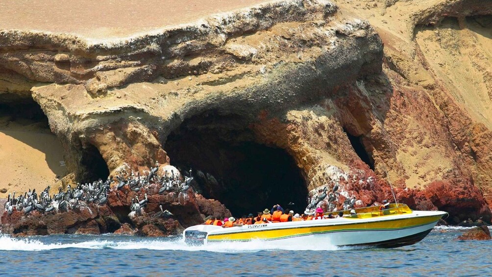 Picture 1 for Activity Lima: Day Bus Tour to Paracas & Hacienda San Jose Tunnels