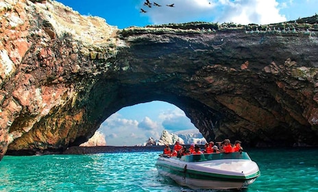 Lima: Paracas, Ballestas Island & Slave Tunnel Full Day Tour