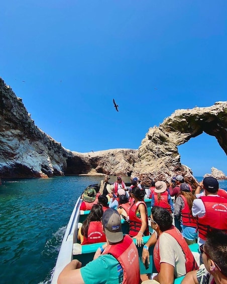 Picture 6 for Activity Lima: Ballestas Islands & Golden Shadows Trek Full Day Tour