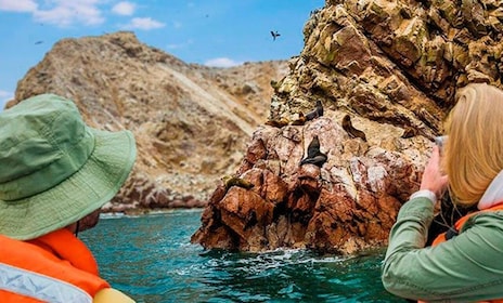 Lima: Paracas, Ballestas Island & Slave Tunnel Full Day Tour