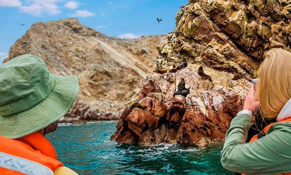 Picture 1 for Activity Lima: Ballestas Islands & Golden Shadows Trek Full Day Tour