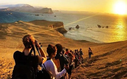 Paracas Full-Day: Ballestas Islands & Golden Shadow Trek