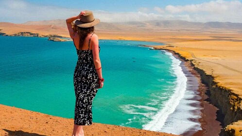 Lima: Dagstur med buss till Paracas och tunnlarna i Hacienda San Jose