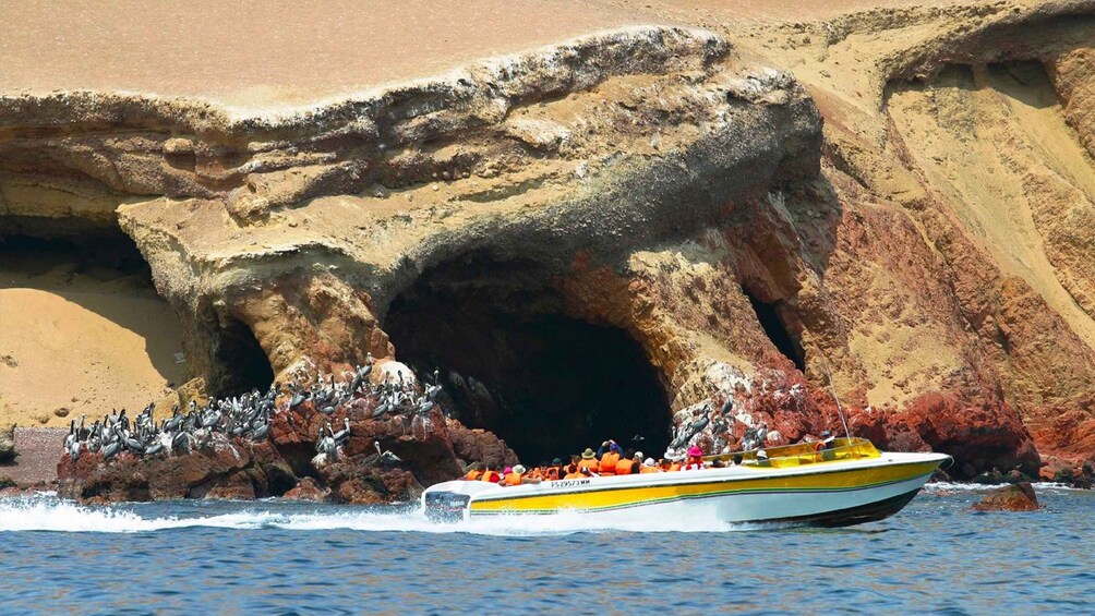 Picture 1 for Activity Lima: Day Bus Tour to Paracas & Hacienda San Jose Tunnels