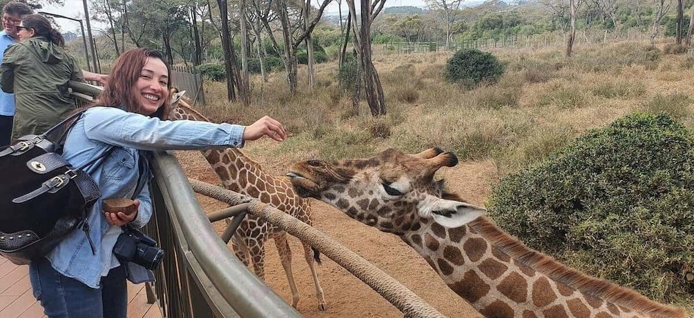 Picture 4 for Activity Nairobi National Museum & Giraffe Centre City Tour