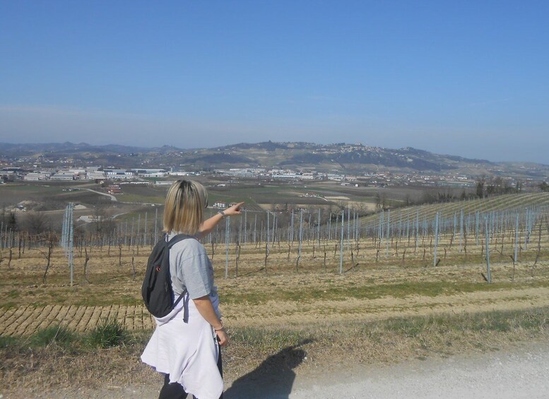 Picture 2 for Activity Hiking and wine tour starting from Alba