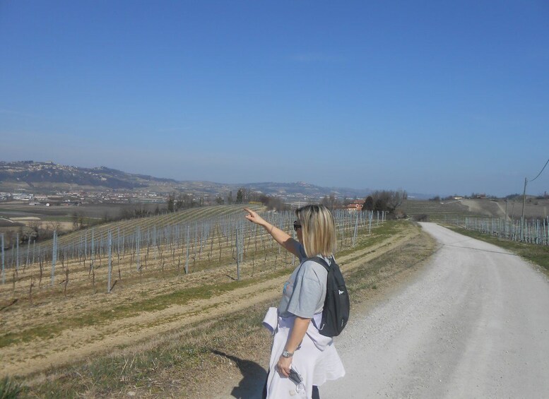 Picture 12 for Activity Hiking and wine tour starting from Alba