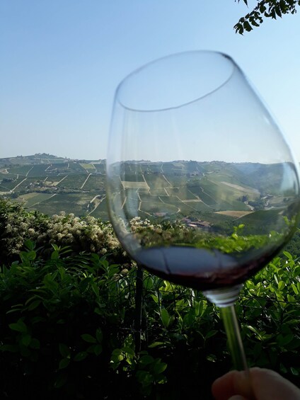 Picture 3 for Activity Hiking and wine tour starting from Alba