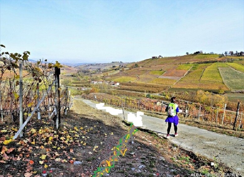 Picture 5 for Activity Hiking and wine tour starting from Alba
