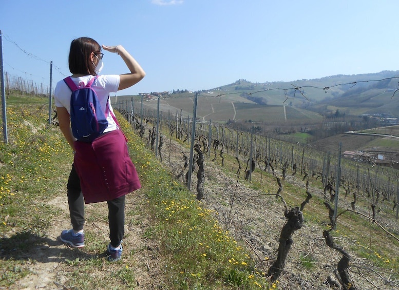 Hiking and wine tour starting from Alba