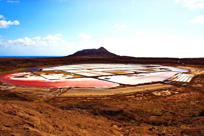 Picture 9 for Activity Sal: Salt Lake Tour, Shark Bay and Pedra de Lume Village