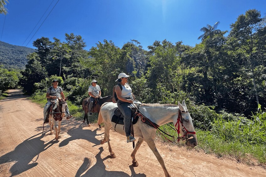 Picture 16 for Activity Paraty: 3-Hour Rainforest Horseback Ride