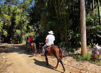 Paraty: paseo a caballo por la selva tropical de 3 horas