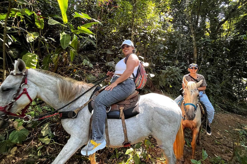 Picture 7 for Activity Paraty: 3-Hour Rainforest Horseback Ride