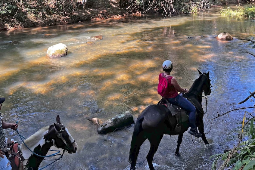 Picture 13 for Activity Paraty: 3-Hour Rainforest Horseback Ride