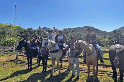 Paraty : Randonnée à cheval de 3 heures dans la forêt tropicale