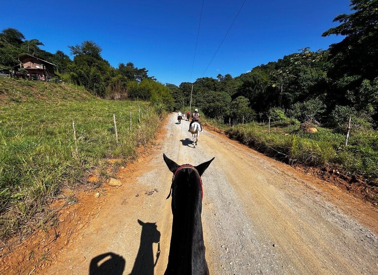 Picture 11 for Activity Paraty: 3-Hour Rainforest Horseback Ride