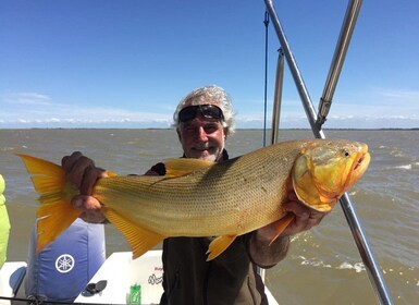 Tigre: Fishing Tour with Lunch and fishing gear Included