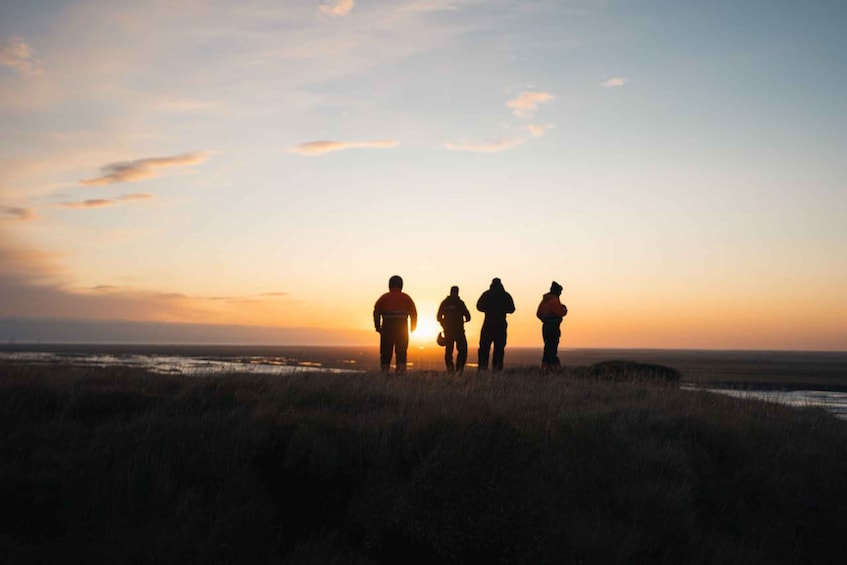 Hvolsvöllur: Iceland Guided Buggy Adventure Tour