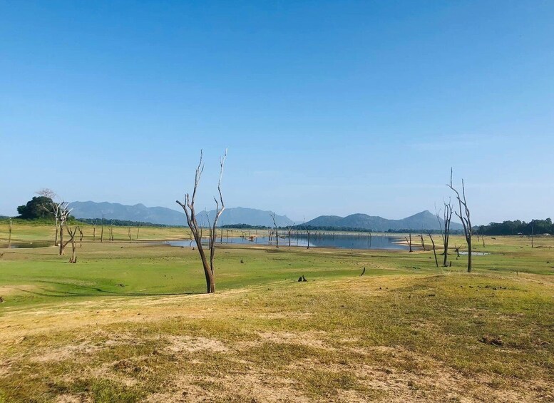 Picture 3 for Activity From Colombo: Sigiriya and Dambulla Day Trip