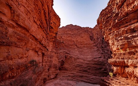 From Salta: Full-Day Tours of Cafayate and Humahuaca