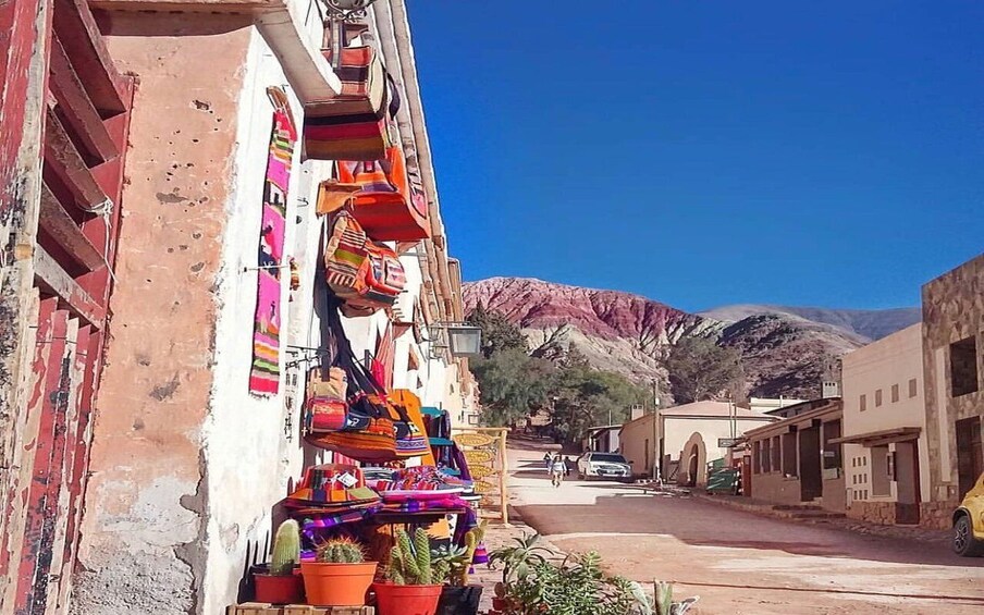 Picture 38 for Activity From Salta: Full-Day Tours of Cafayate and Humahuaca