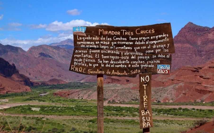 Picture 11 for Activity From Salta: Full-Day Tours of Cafayate and Humahuaca