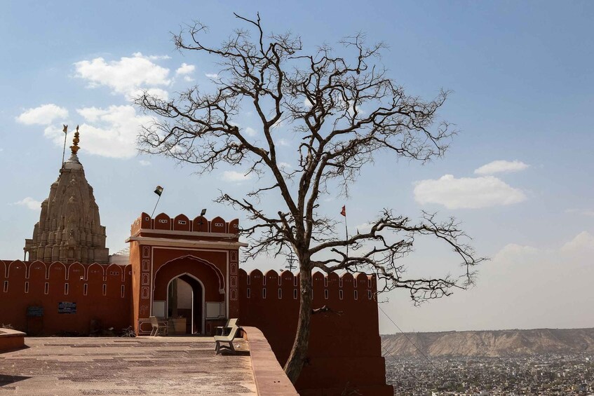 Picture 8 for Activity Jaipur: Sightseeing Tour with Visit to Galtaji Monkey Temple