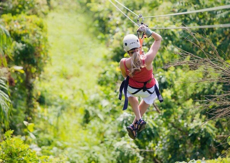 Picture 2 for Activity Puntarenas: Zip Line and Eco Boat Tour Shore Excursion