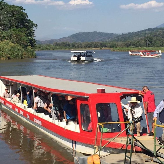 Picture 19 for Activity Puntarenas: Zip Line and Eco Boat Tour Shore Excursion