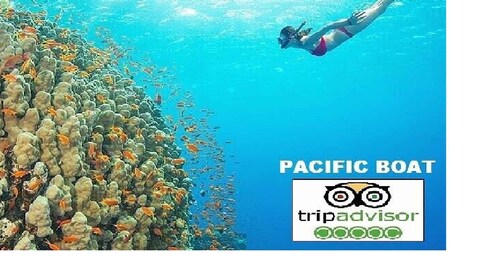 Hoi An/Da Nang: Excursión en lancha rápida para hacer snorkel y saltar de i...