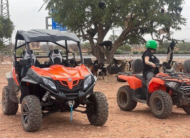 Agadir/Taghazout: Buggy Safari Adventure & Moroccan Tea