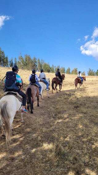 Mystical horseback riding discovering cusco in a unique way