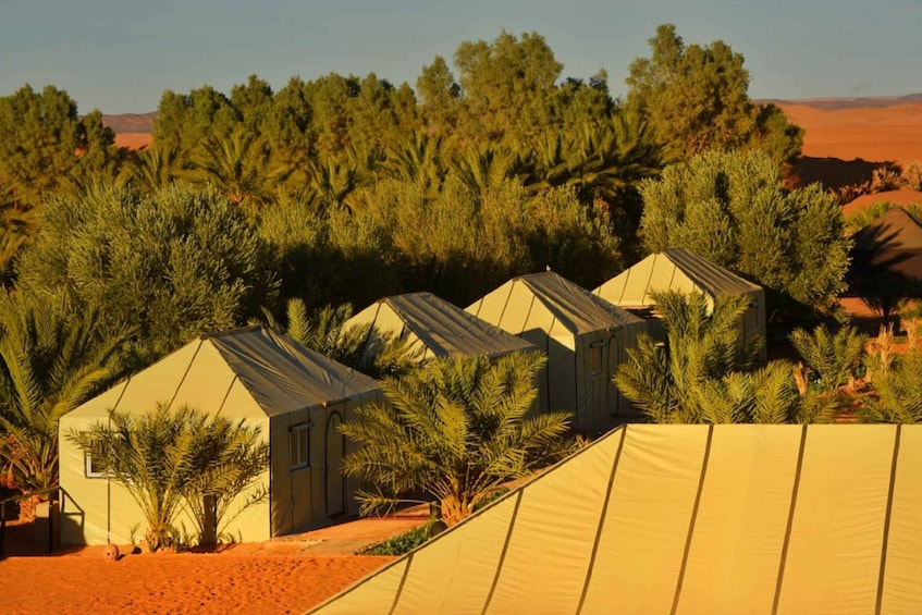 Picture 2 for Activity Overnight in Luxury Tent in Desert Camp Erg Chebbi Merzouga