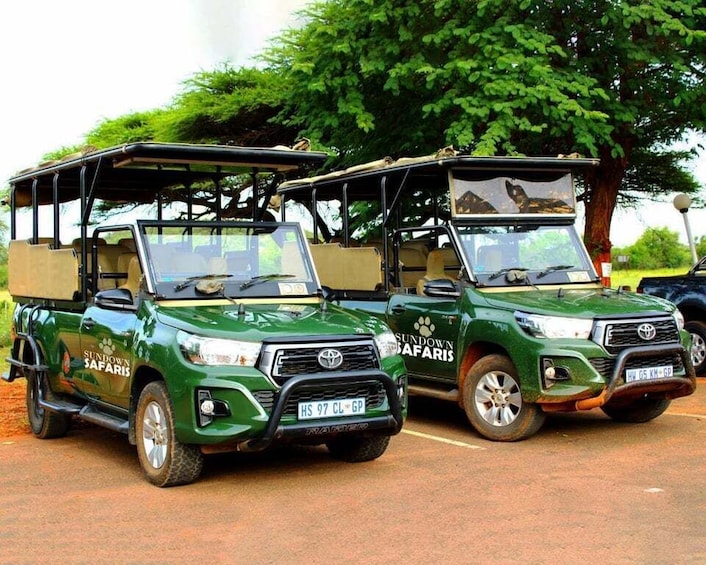 Picture 7 for Activity Pilanesberg Morning or Afternoon 3 Hour Game Drive