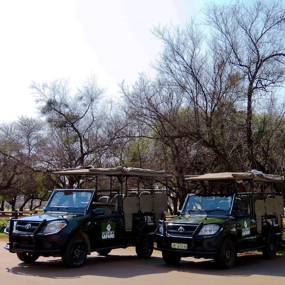 Picture 9 for Activity Pilanesberg Morning or Afternoon 3 Hour Game Drive