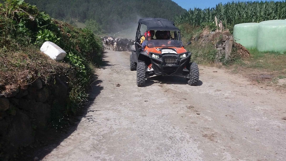 Picture 1 for Activity Buggy|Quad|Jeep Coast to Coast Tour (Ribeira Grande) off 4x4