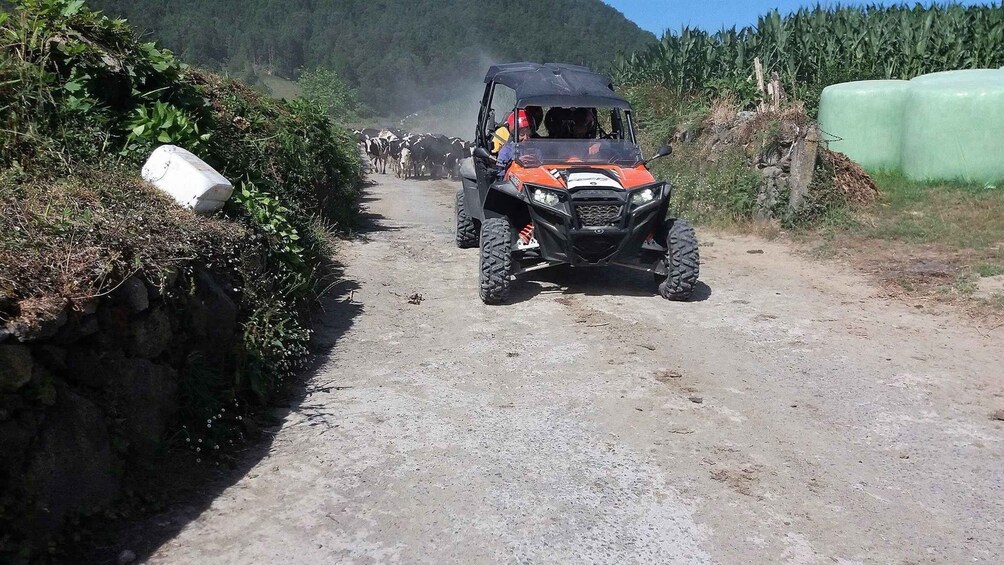 Picture 4 for Activity Buggy|Quad|Jeep Coast to Coast Tour (Ribeira Grande) off 4x4