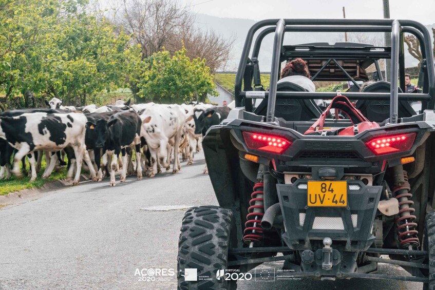 Picture 6 for Activity Buggy|Quad|Jeep Coast to Coast Tour (Ribeira Grande) off 4x4