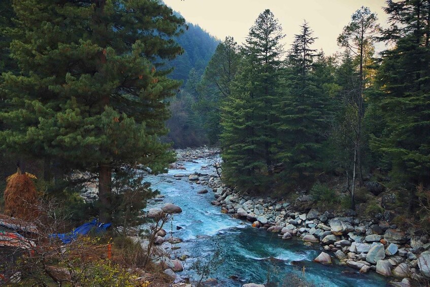 Manali to Kasol