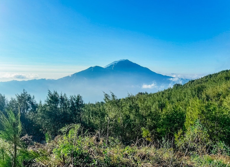 Picture 21 for Activity Bali: Sunrise Mount Batur Hike with Breakfast