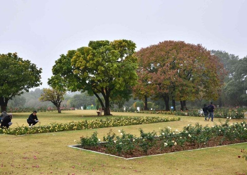 Picture 2 for Activity Garden Trails of Chandigarh (Guided Full Day City Tour)