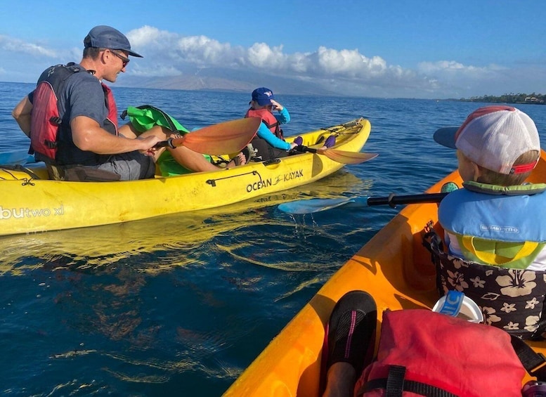 Uvita: Ocean Kayaking and Snorkeling Marino Ballena N. Park