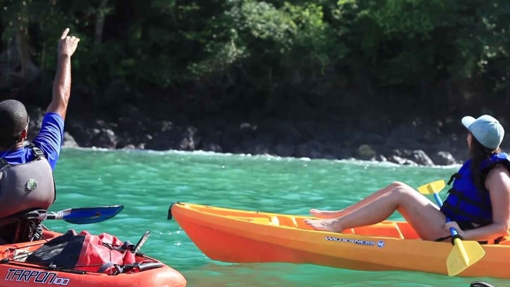 Picture 8 for Activity Uvita: Ocean Kayaking and Snorkeling Marino Ballena N. Park
