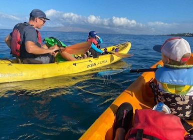 Uvita: Private Ocean Kayak & Snorkel Marino Ballena N. Park