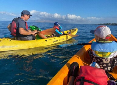 Uvita: Private Ocean Kayak & Snorkel Marino Ballena N. Park